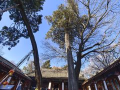 -少华山国家森林公园
