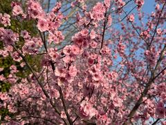 -滨湖塘西河公园