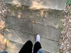 -缙云山景区