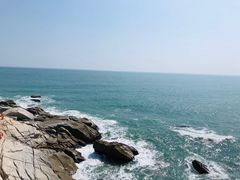-广东惠东海龟国家级自然保护区