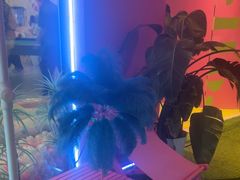 -CIAO·团建聚餐·生日派对轰趴馆(福田店)