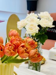 点击看大图 -WENDY·温迪皮肤管理