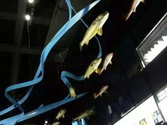 深海探索馆-同济大学四平路校区深海探索馆
