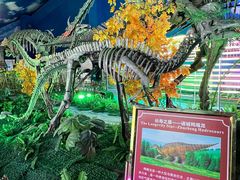 -诸城市恐龙博物馆