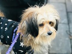 -钱记包子糕团