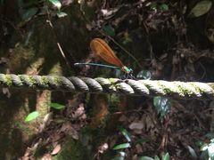 -黄金沟旅游风景区