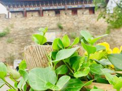 -大理古城旅游汽车客运站