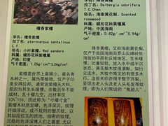 -中国紫檀博物馆