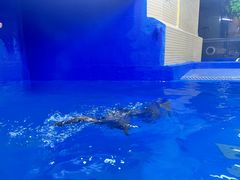 -太平洋海底世界