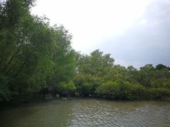 -东寨港红树林旅游区