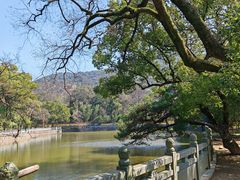 -阿育王寺
