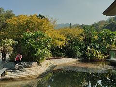 -云溪植物园