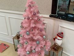 -福田家月子中心 产后 月嫂(市立母子医院店)