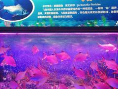 -大明湖海底世界