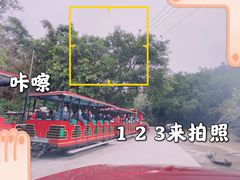 -广州长隆野生动物世界