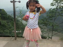 -铁山坪森林公园