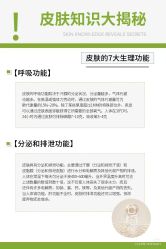 点击看大图 -玛莲朵·海菲秀冰珀科