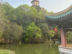 -江心屿景区