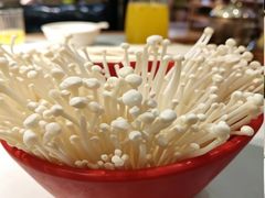 -雾都渣渣火锅(南城智汇城店)