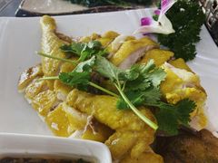 白切文昌鸡-墨脱石锅椰子鸡•香草鸭•东山羊(大东海店)