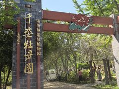 -洛阳市隋唐城遗址植物园