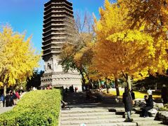 -玲珑塔公园