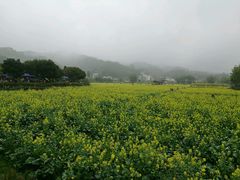 -红山村