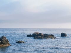 -小麦岛公园