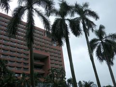 -中山大学学者灵芝(园南路店)