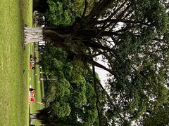 -东莞植物园