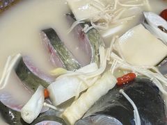 -滇香肴·云南菜蒸汽石锅鱼(云南北路店)