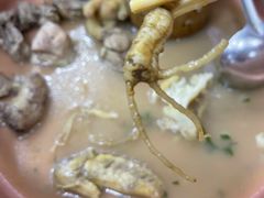 -朴小妹人参鸡汤火锅(长白山万达店)