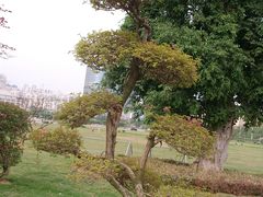 -南宁国际会展中心