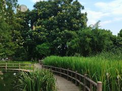 -成都市活水公园