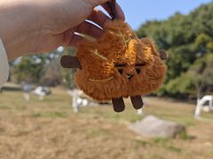 -共青国家森林公园-售票处