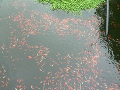 iphone_upload_pic-普陀山风景名胜区-法雨禅寺