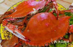 Bohai Bay Wild Crab