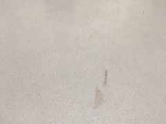 -美联众合宠物医院·爱萌分院·内外科·猫科中心