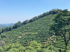 -西湖风景区十里琅珰-五云山