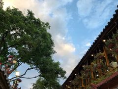 -内涵饵块
