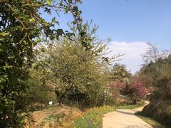 -名花谷生态庄园