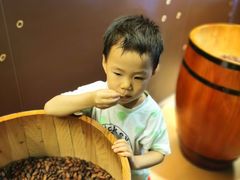 -歌斐颂巧克力小镇