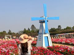 -盈香心动乐园