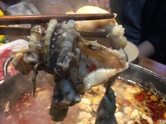 -老天桥蛙炉火锅(姑苏总店)