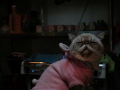 -小时光咖啡馆(北锣鼓巷店)