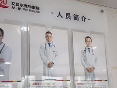 -艾贝尔宠物医院·24H转诊中心·肿瘤猫专科(江宁双龙店)