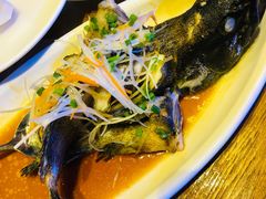 清蒸石斑鱼-南海渔家•海鲜•正宗海南菜(海棠湾店)