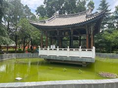 -巍山古城