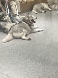 -紫颖·专业美胸·连锁养护中心