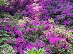 -苏州上方山国家森林公园